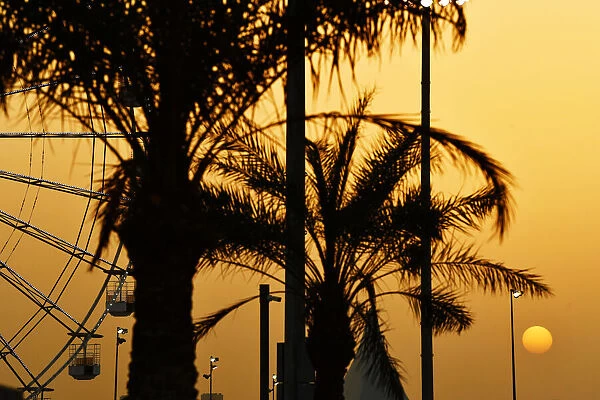 Atmosphere. Palm trees at sunset